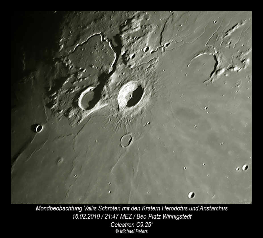 Mond 214719MP